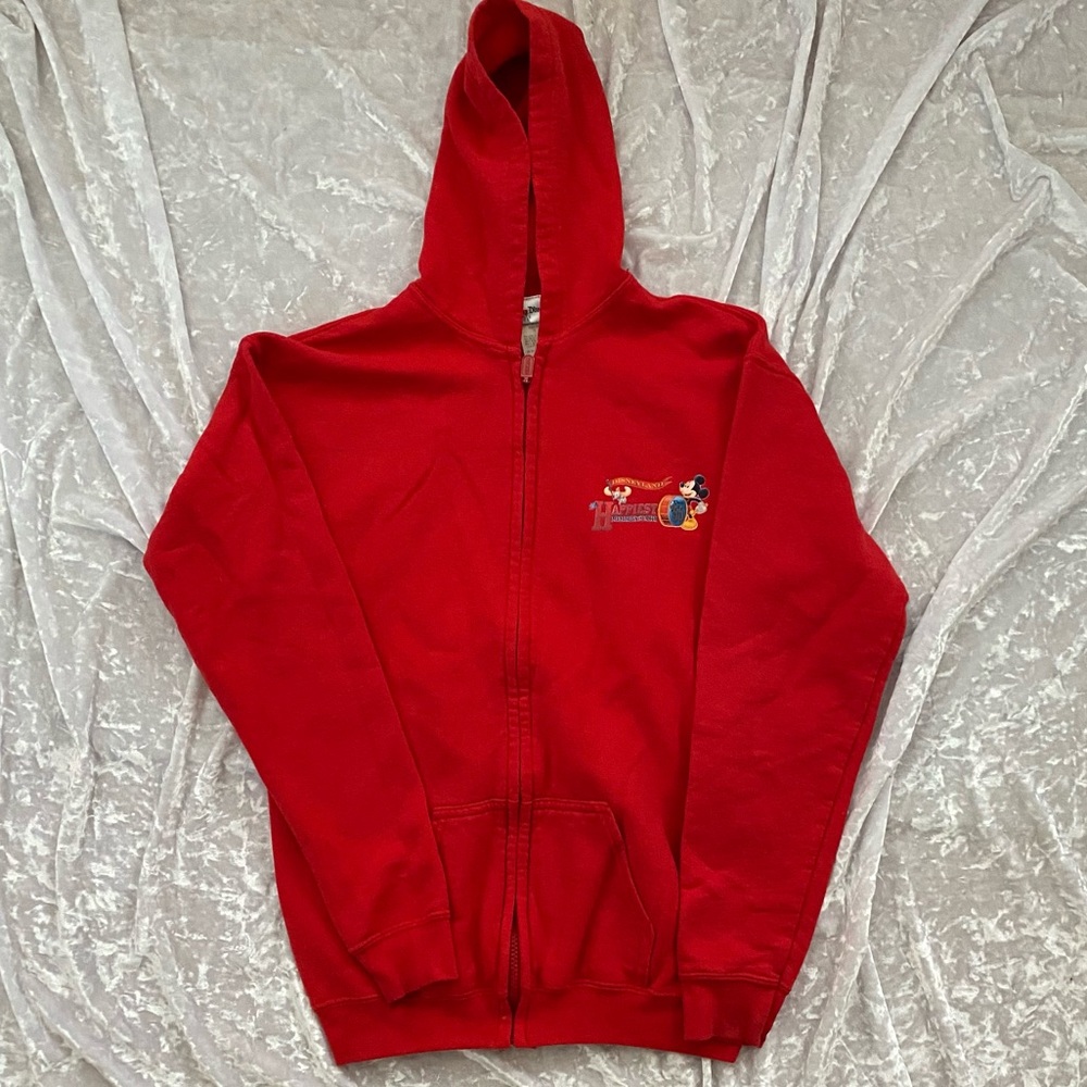 Disneyland hoodie